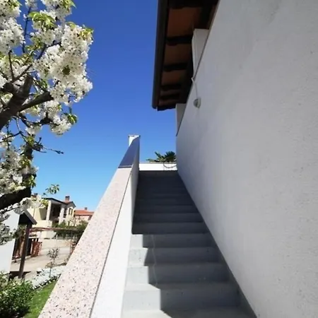 Fuer 4 Personen 1 Kind Ca 65 M In Novigrad, Adriakueste Kroatien Westkueste Von Istrien Apartment *